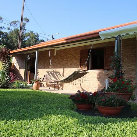 Casa Flor Da Laranjeira Guest House Ponte de Lima Ngoại thất bức ảnh